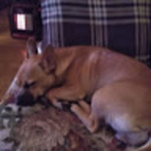 Meet your Posher, Phyllis